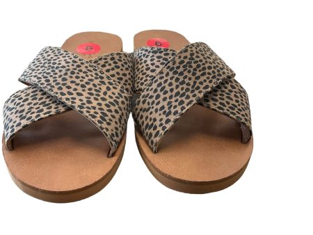 Animal Print Sandals Flats Universal Thread, Size 6 Online Hot Sale