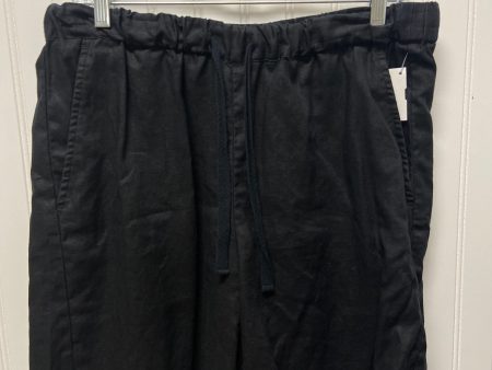 Black Shorts Eileen Fisher, Size 10 Supply